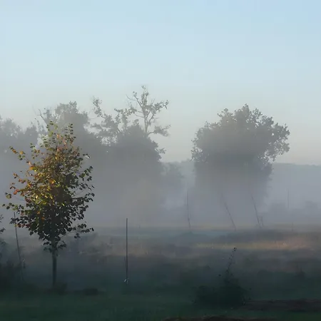 Semesterbostad Le Galet Du Chant Du Buc Marssac-sur-Tarn