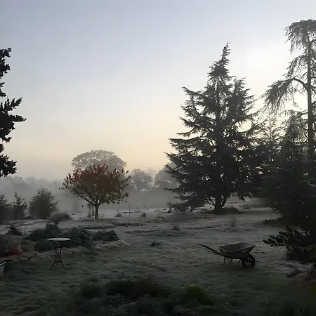 Le Galet Du Chant Du Buc Semesterbostad Marssac-sur-Tarn