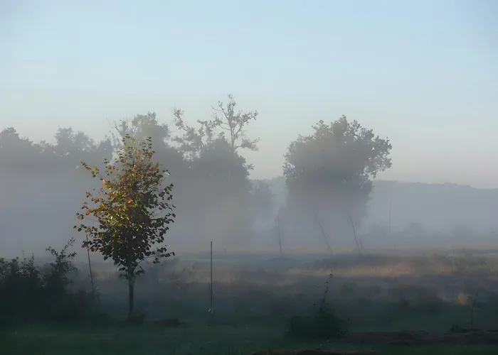 Casa de Férias Le Galet Du Chant Du Buc Marssac-sur-Tarn
